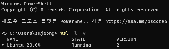 WSL 버전